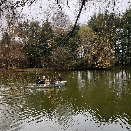 Lakeside